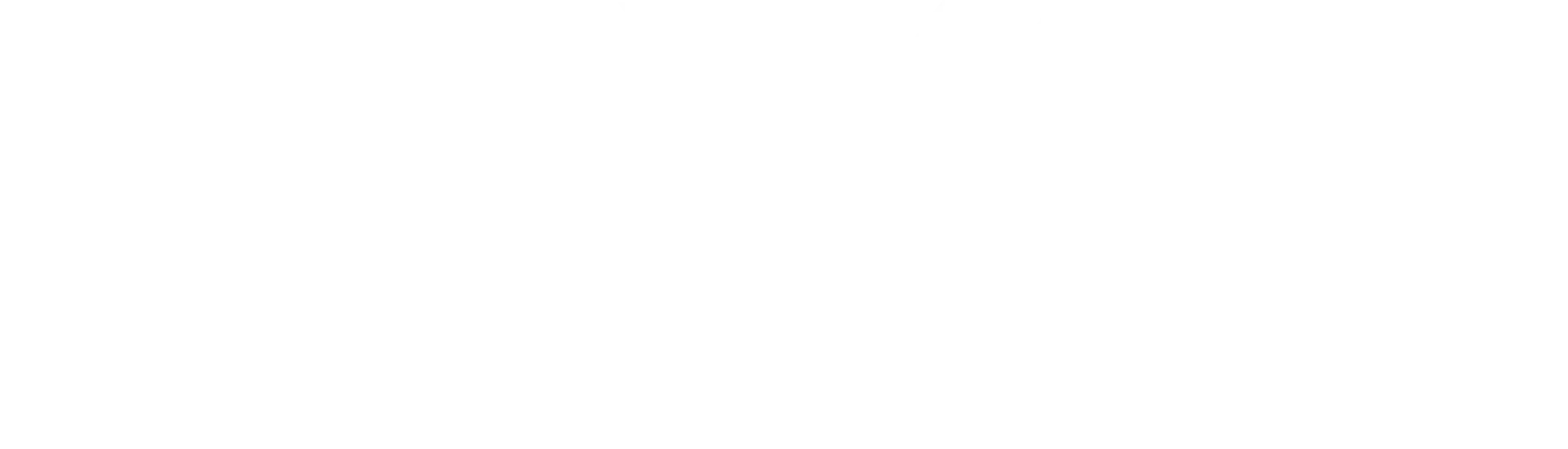 TDMxKIM Logo